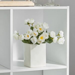 6-Cube Storage Organizer, White  Bookcase, Display Shelf