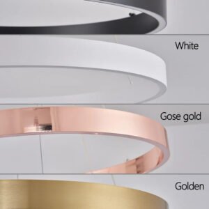 Ceiling chandelier Pendant light Chandeliers for dining room LED Bedroom living room nordic home decor Modern Round ring lamps