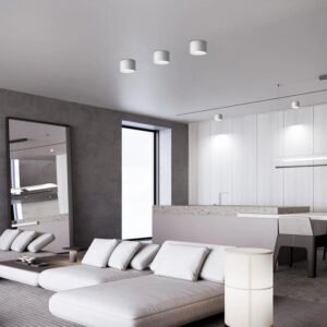 Good Quality Small Ceiling Lamp Surface Mounted LED Downlight For Living Room Bedroom Kitchen Corridor 220V 12W 15W Down Lights