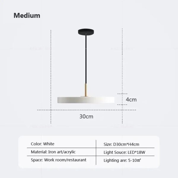 Modern Minimalist Pendant Light  Study Decor Replica Design Restaurant Lamp LED Hanging Lamp for Table Dining Room Bedroom