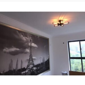 Vintage-Industrial-Barn-Metal-Cage-Ceiling-Lamp-Flush-Mount-Steampunk-Edison-Hanging-Light-Mini-Art-Chandelier_70fec639-3993-42ee-a564-35e66f32b0dd.jpg Vintage Industrial Barn Metal Cage Ceiling Lamp Flush Mount Steampunk Edison Hanging Light Mini Art Chandelier 110V/220V/230V